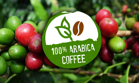 Café arábica 100%