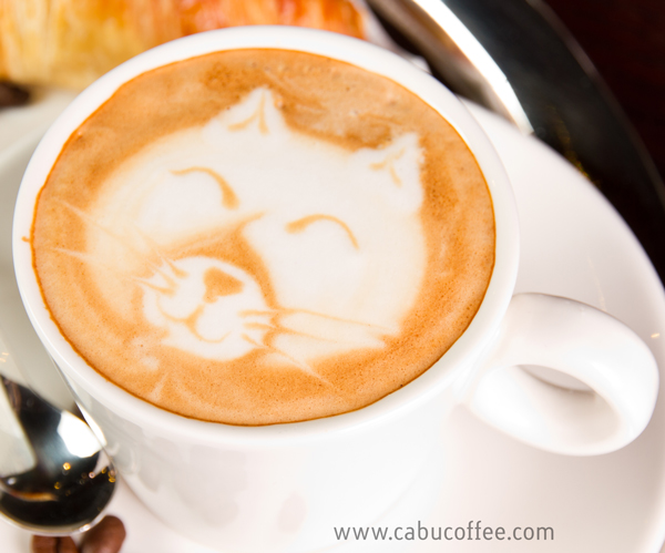 Cara de un Gato en un Cappuccino