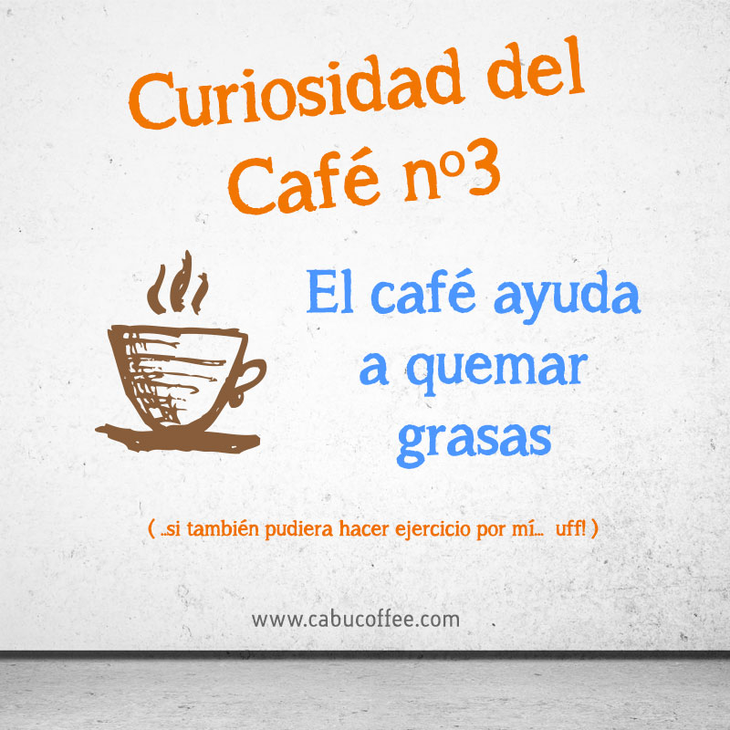 Curiosidade del Cafe no3