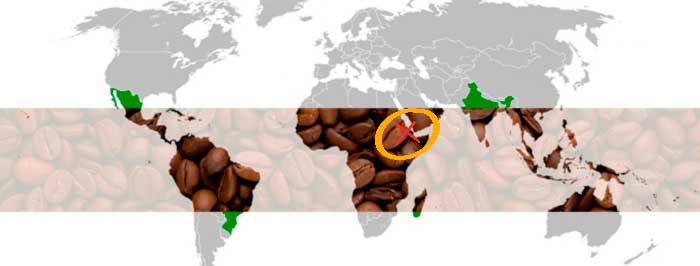 Cinturon del cafe ethiopia sidamo