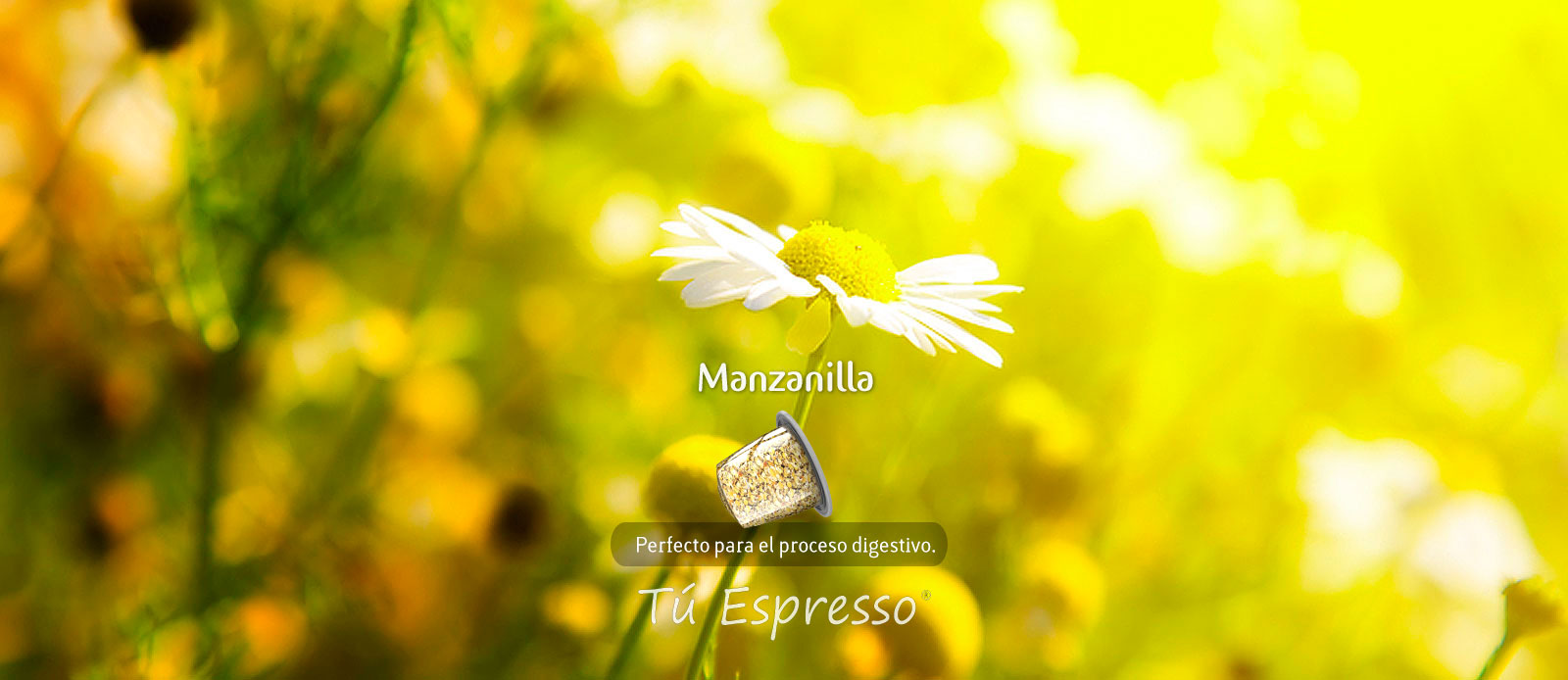 Manzanilla cápsula de café compatible te tu espresso