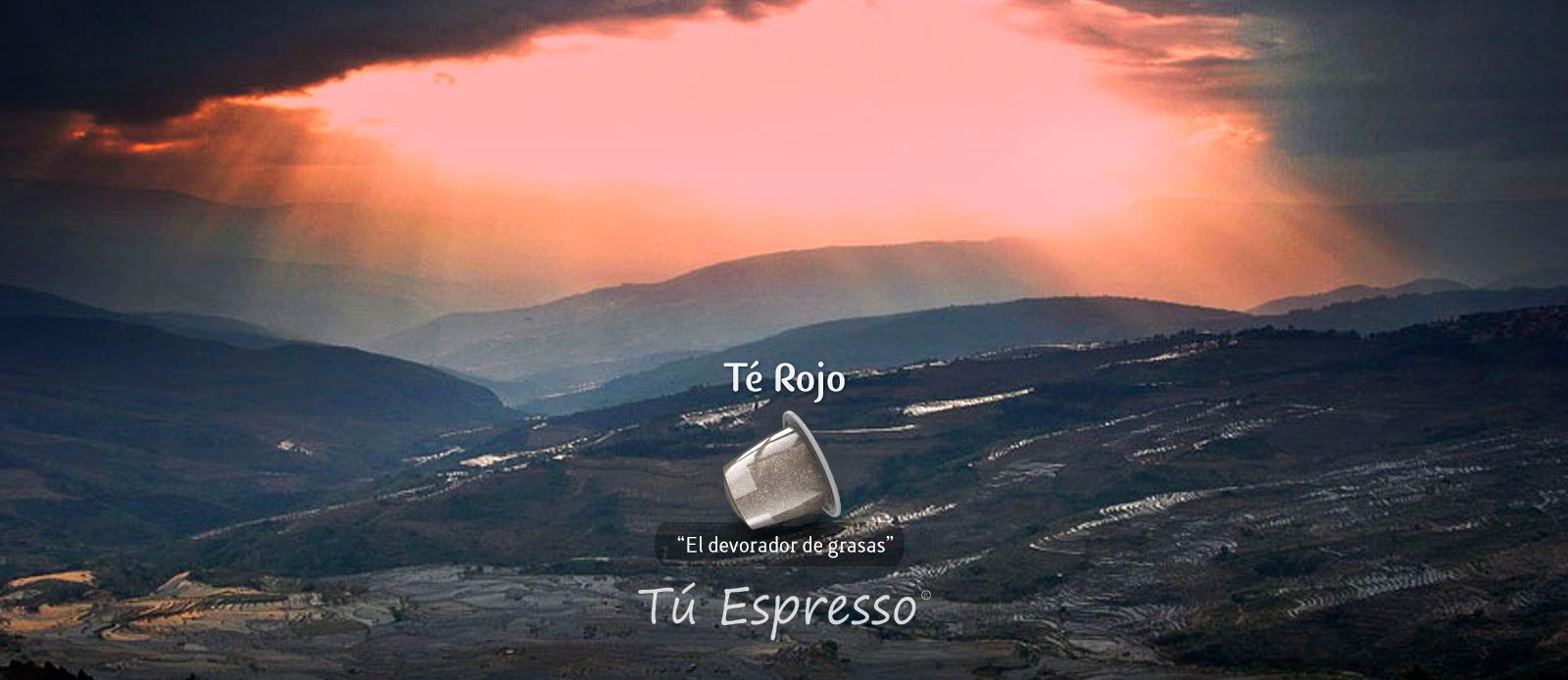 Té Rojo cápsula de café compatible te tu espresso