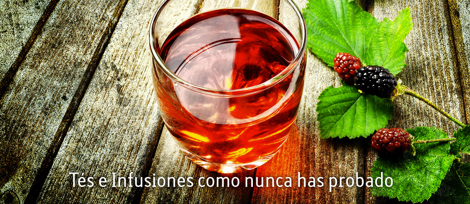 Tes-e-Infusiones-como-nunca-has-probado