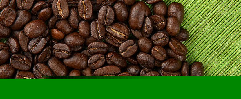 cafe premium quality